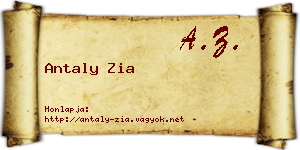 Antaly Zia névjegykártya
